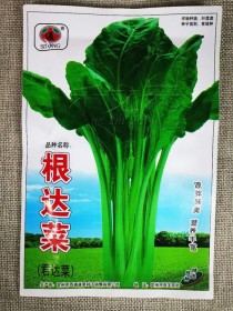 君达菜?君达菜的功效与作用!