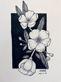 花卉黑白线描画?花卉黑白线描画简单!