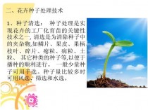 花卉传统育苗ppt?花卉育苗技术实验报告!