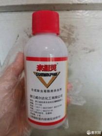 来福灵?来福灵 原版广告!