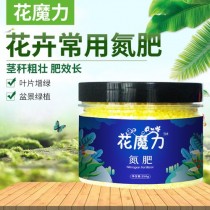 花卉用高氮肥?花卉用高氮肥好吗!