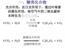 绿色植物的光合作用?绿色植物的光合作用化学方程式!