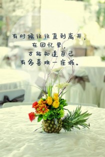 花卉与生活感想?花卉与生活感想怎么写!