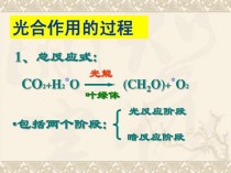 植物光合作用?植物光合作用方程式!