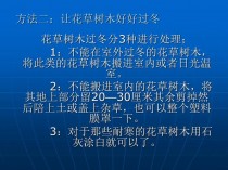 花草树木怎样过冬?花草树木怎样过冬的采访过程!