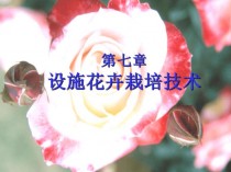 花卉养护培训ppt?花卉养护培训!