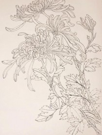 白描素材花卉简单?白描素材花卉简单图片!