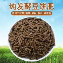 豆饼水?豆饼水是什么肥料?!