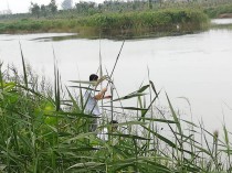 芦苇中如何钓鱼?芦苇中如何钓鱼视频!