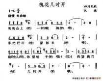 槐花几时开?槐花几时开是哪个地方的民歌!