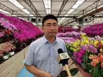 福州花卉协会蓬莱?福州花卉协会蓬莱分会会长!