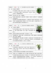 常见花卉种植ph?常见花卉种植方法大全!