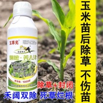 玉米田苗后除草剂?玉米田苗后除草剂哪种好!