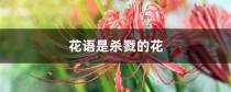 花语是杀戮的花?花语是杀戮的花的图片!