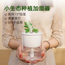 夏季小型花卉加湿器?夏季小型花卉加湿器怎么用!