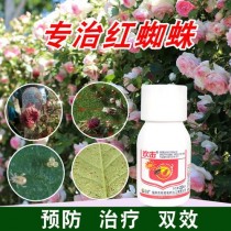 红蜘蛛药?红蜘蛛药什么时间打最好!