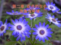 花卉生长条件?花卉生长条件地理!