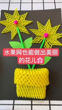 水果网套制作花卉?水果网套制作花卉图片!