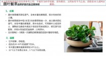 绿植养护?绿植养护工作内容!