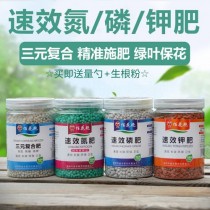 花卉肥料哪种好?花卉肥料哪种好用!