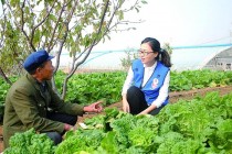 学苑中的花?学苑中的花 静!