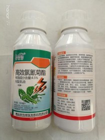 地下害虫特效药?地下害虫特效药有哪些!