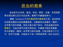 昆虫激素?昆虫激素有哪些种类!