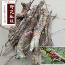 野花椒根?野花椒根泡酒的功效与作用!